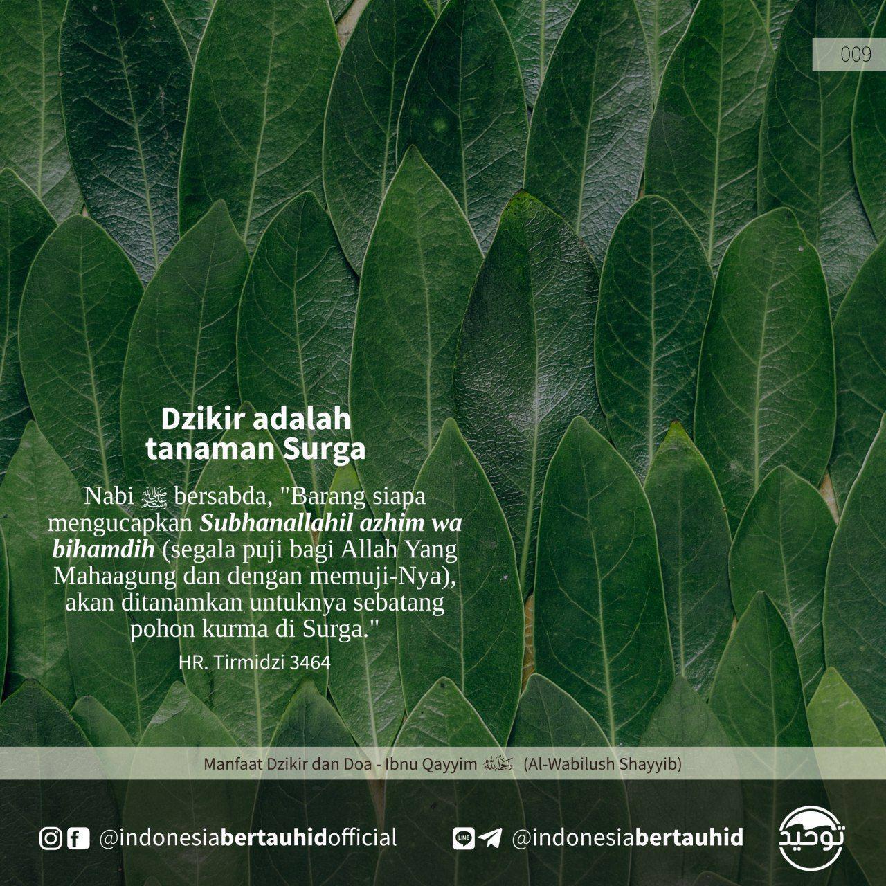 Dzikir adalah Tanaman Surga